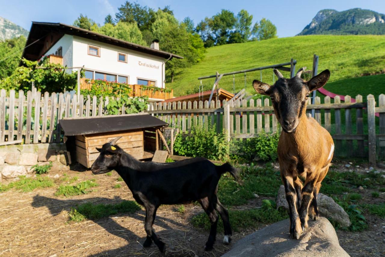 Pensjonat Trafisolerhof Fiè Zewnętrze zdjęcie